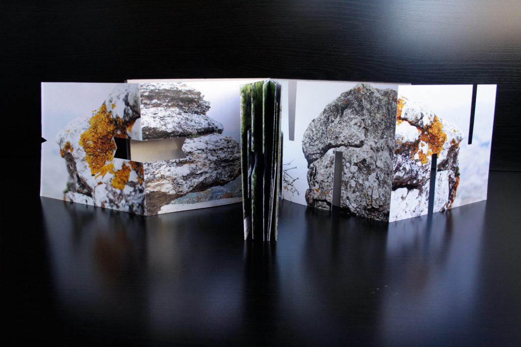 fotolibro
