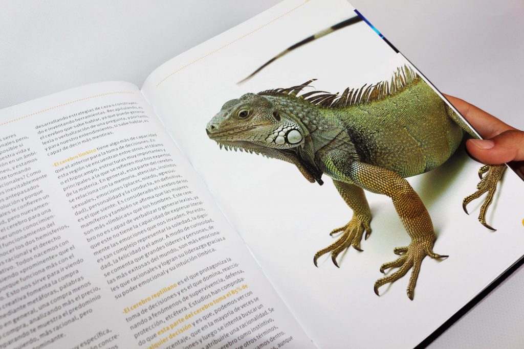 instintos-reptil