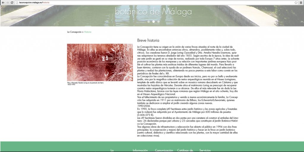 web-la-concepcion-historia
