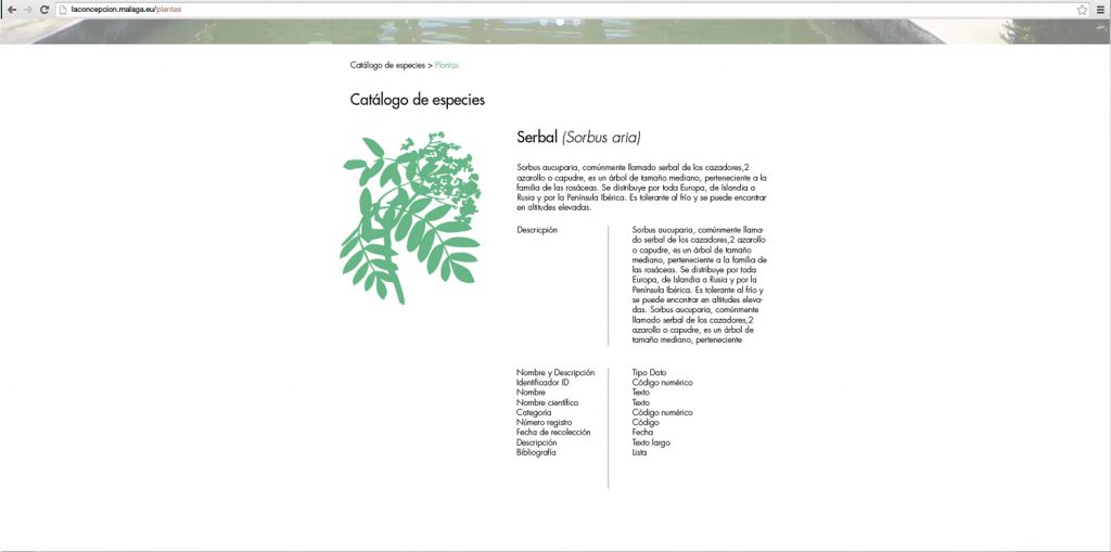 web-la-concepcion-catalogos